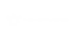 Memetaverse