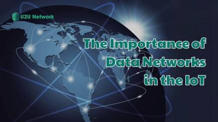 The Importance of Data Networks in the Internet of Things (IoT)