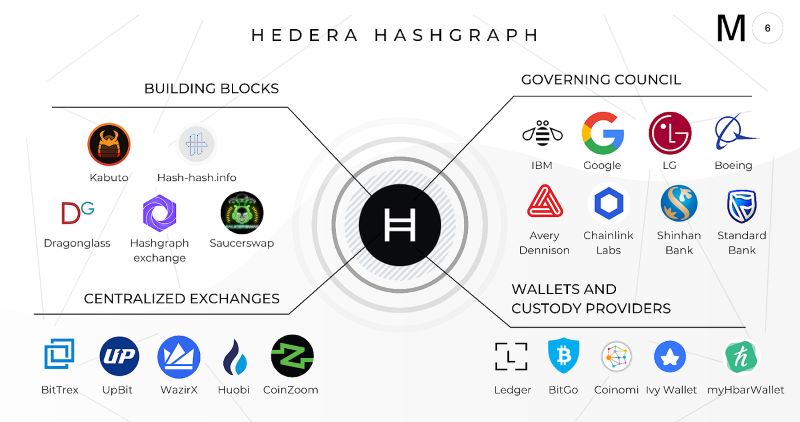 fundamentals-hedera-hashgraph-public-networks