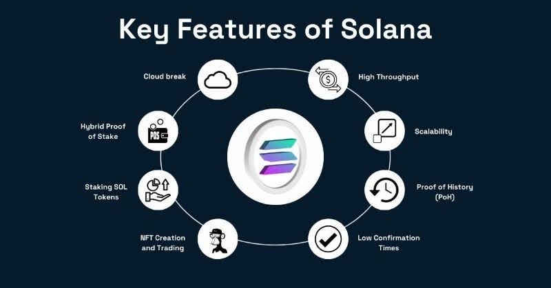 solanas-high-throughput-architecture